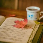 11 papierowych serc: recenzja i podobne tytuły na wieczór